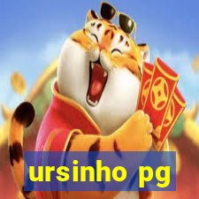 ursinho pg